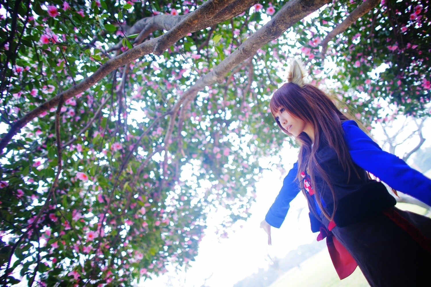 [Cosplay] 2013.04.13 Spice and Wolf Hot Cosplay